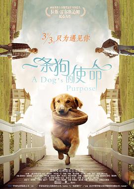 阿v小四郎