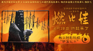 电车痴汉系列