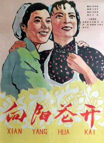 综合在线视频
