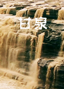 gay 网站